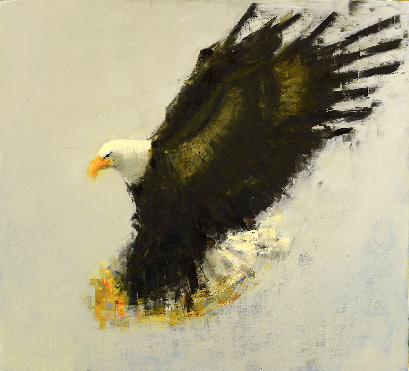 Bald Eagle  Hunting-Rebecca Kinkead