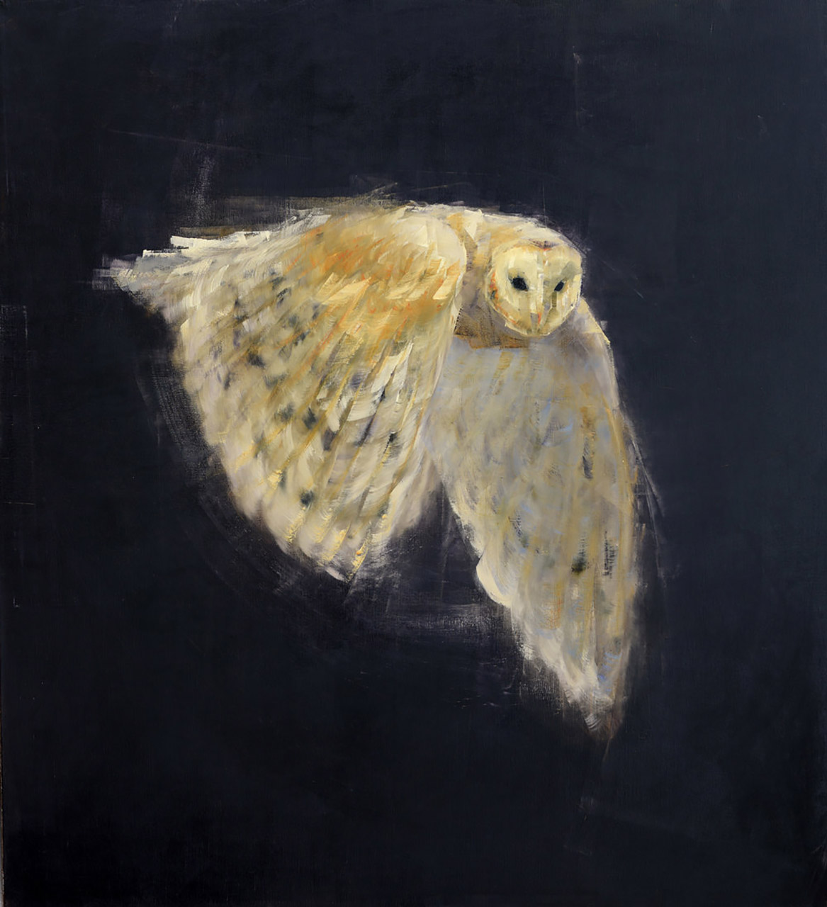 Barn Owl in Flight-Rebecca Kinkead