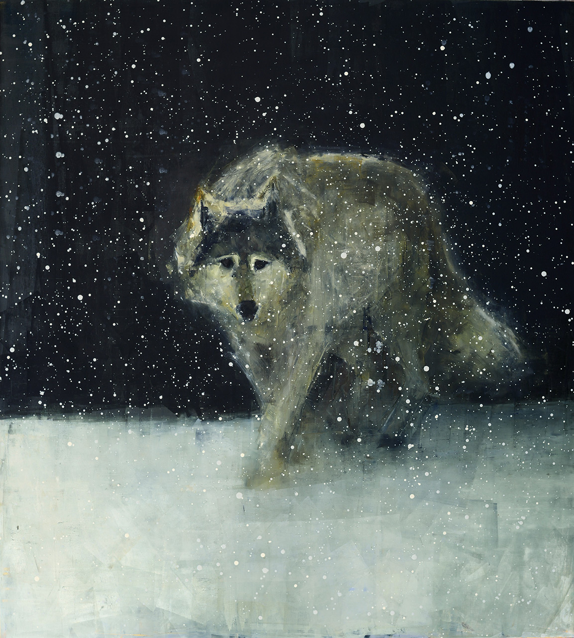 Grey Wolf Deep Snow-Rebecca Kinkead