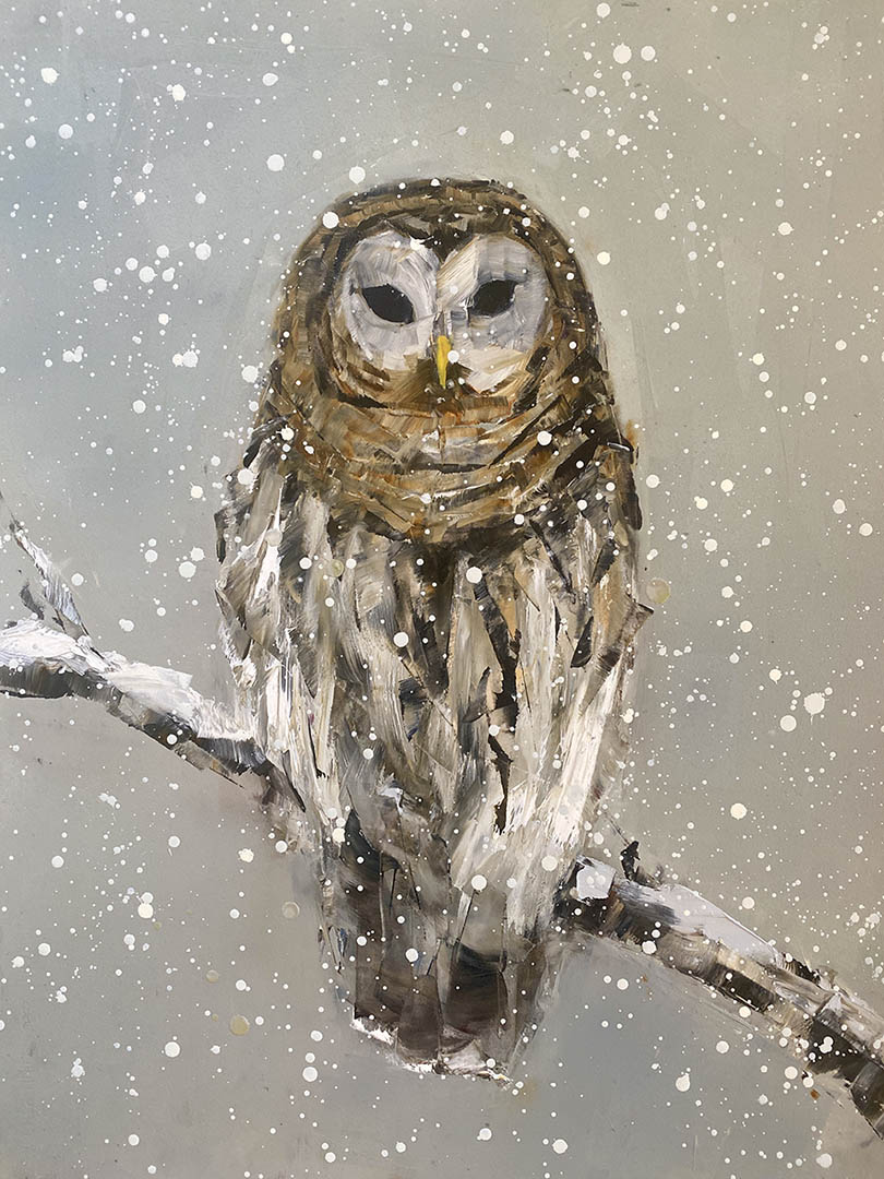 Barred Owl with Snow, original painting by Rebecca Kinkead