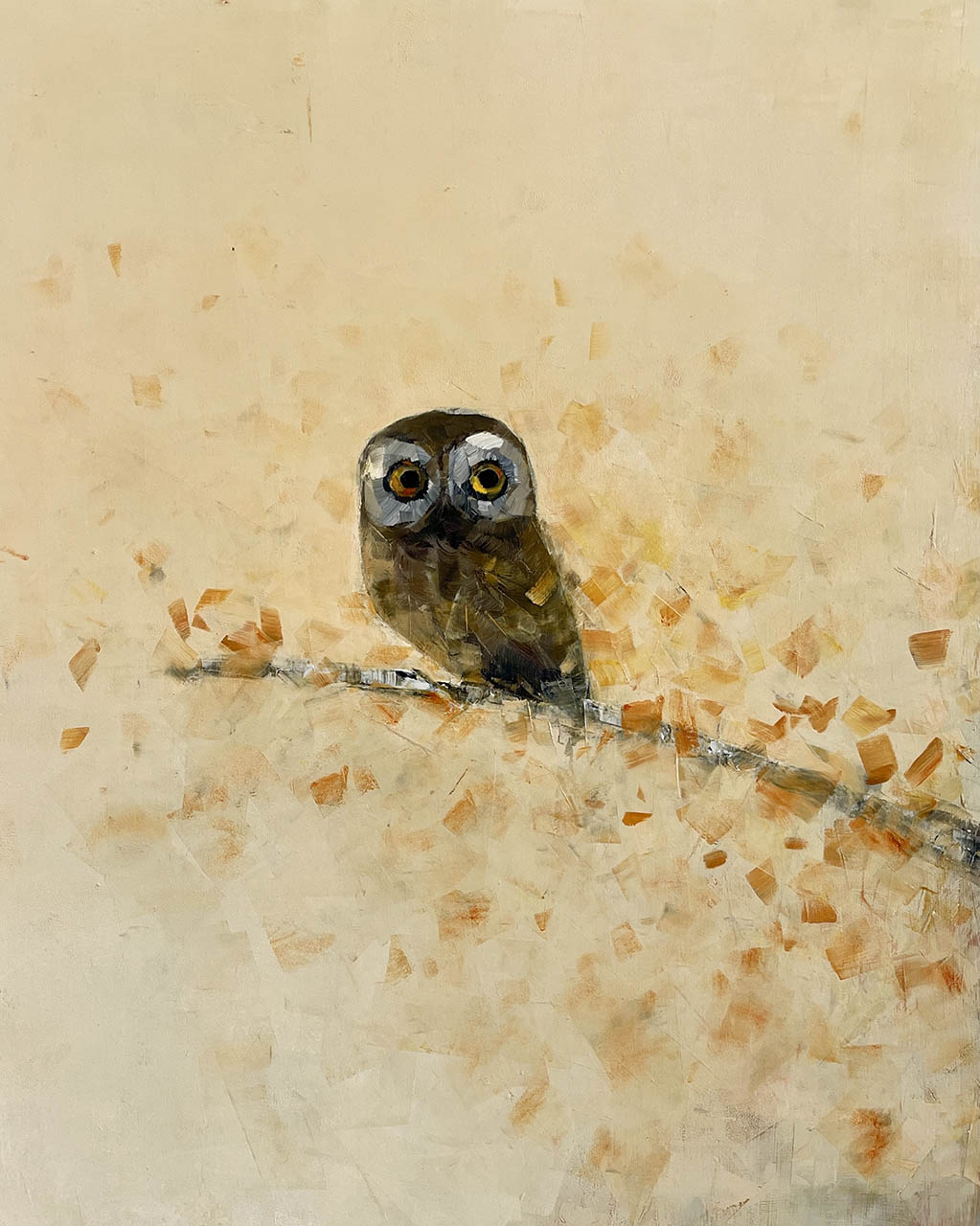 Saw-whet Owl (September) by Rebecca Kinkead