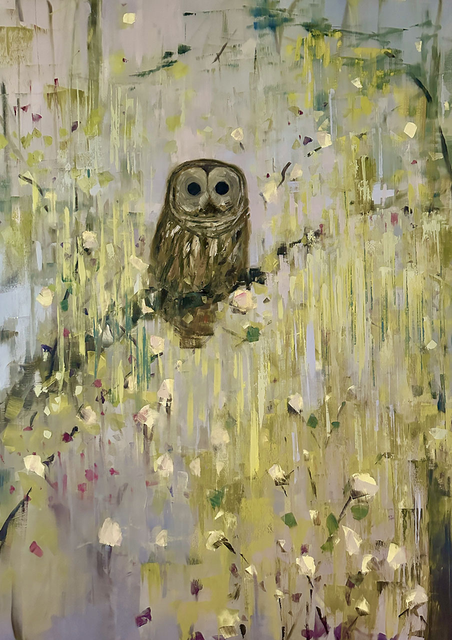 Barred Owl Summoning Spring