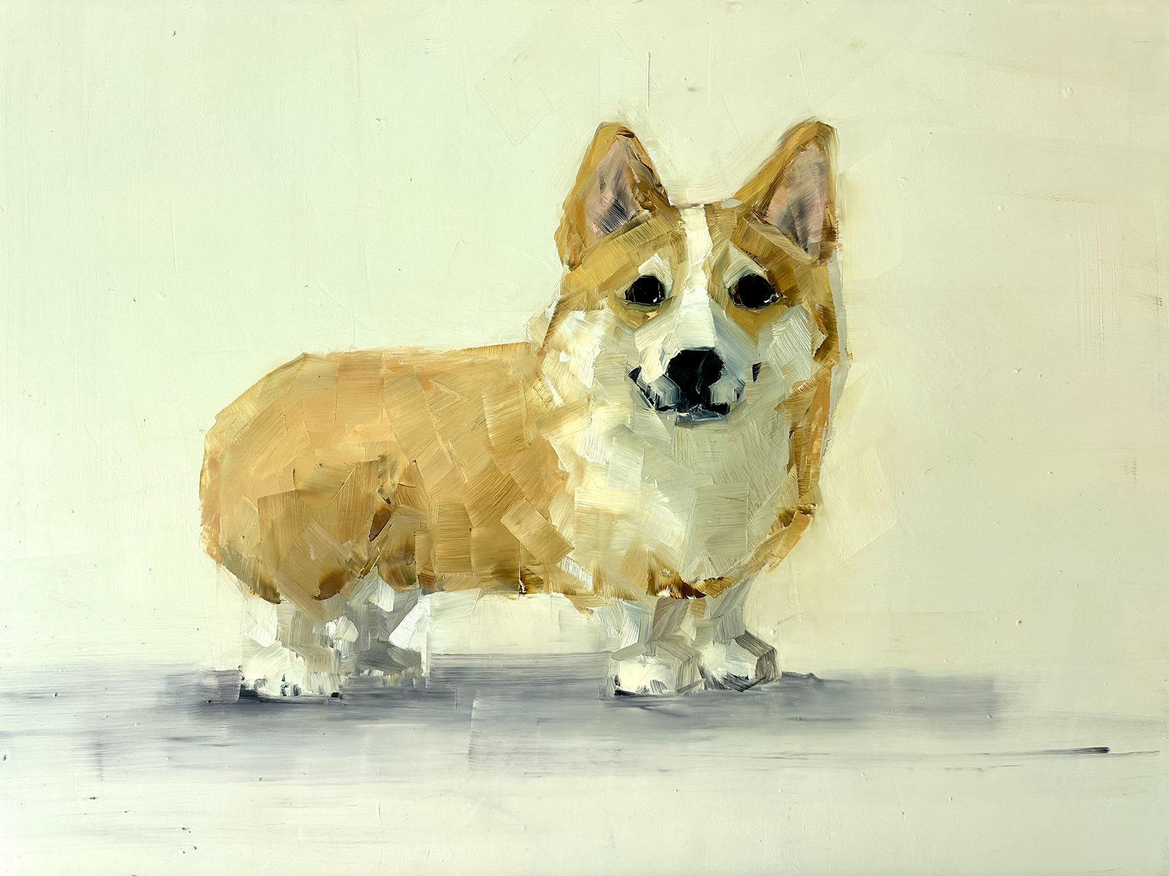 Corgi on Cream